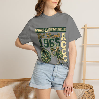 Enterprise-Ozark Community College Graphic T-Shirt