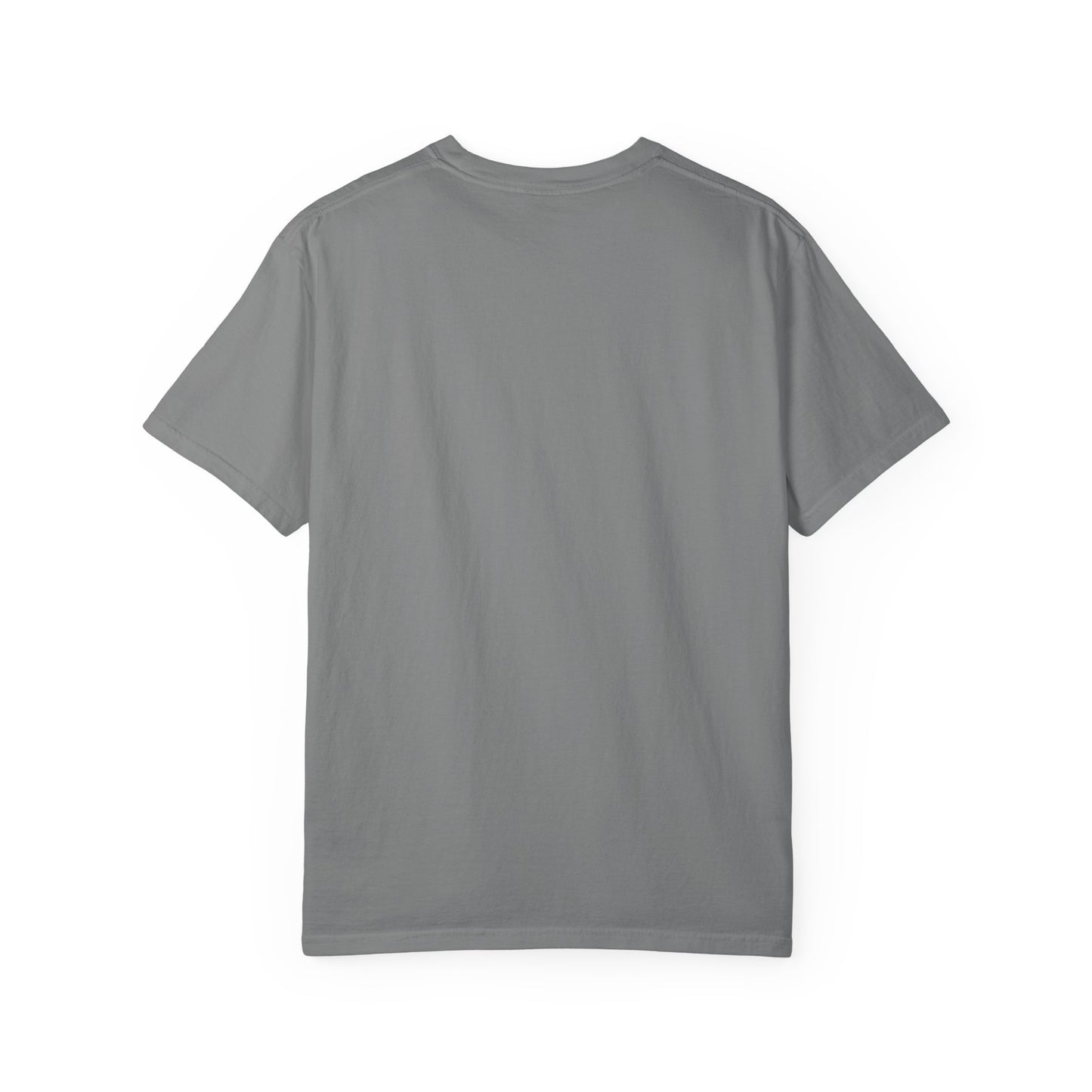 Snead State Community College Graphic T-Shirt