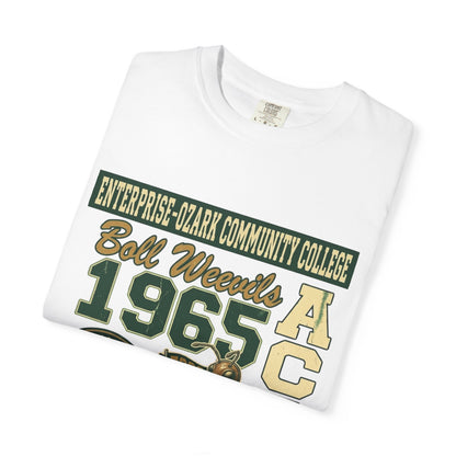Enterprise-Ozark Community College Graphic T-Shirt