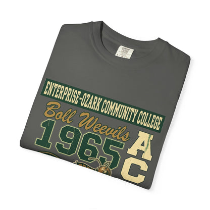 Enterprise-Ozark Community College Graphic T-Shirt